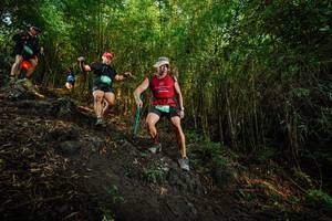 BIB: 
                            <button type="button" onclick="openModal(25090520)" class="btn btn-primary btn-sm float-right btn-popup" data-toggle="modal" data-target=".modal-high-quality">
                        <i class="fas fa-shopping-cart"></i> Add to Cart
                    </button>
                                            <button type="button" onclick="isThisMe(25090520, true)" class="btn btn-success btn-sm float-right btn-popup btn-isme hidden" data-toggle="tooltip" data-placement="bottom" title="นี่คือรูปของคุณใช่ไหม คลิกที่นี่เพื่อเอาเข้าอัลบั้ม">
                        <i class="fas fa-plus"></i> Add to album
                    </button>
                    <button type="button" onclick="isThisMe(25090520, false)" class="btn btn-warning btn-sm float-right btn-popup btn-isnotme hidden">
                        <i class="fas fa-ban"></i> Remove from album
                    </button>